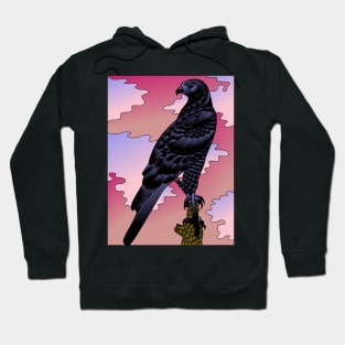 Birds 1112 (Style:5) Hoodie